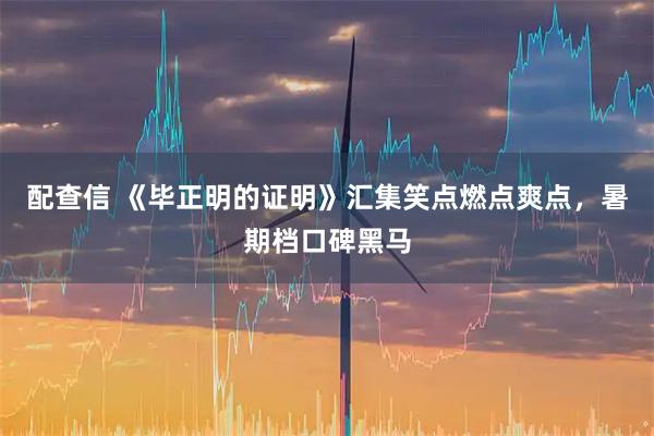 配查信 《毕正明的证明》汇集笑点燃点爽点，暑期档口碑黑马