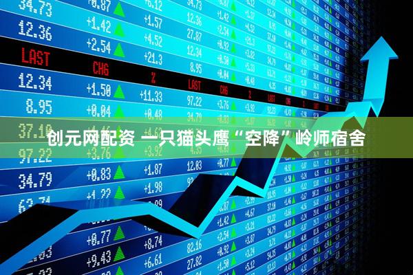 创元网配资 一只猫头鹰“空降”岭师宿舍